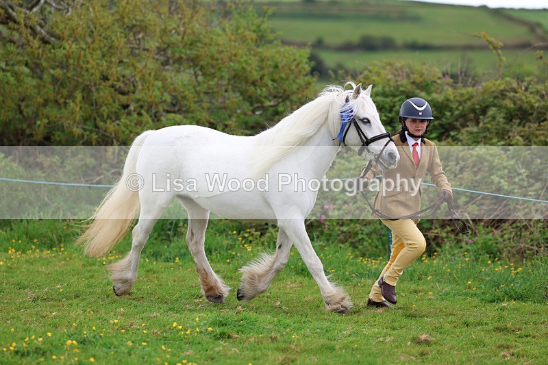 3E7A0763 - In Hand Championship