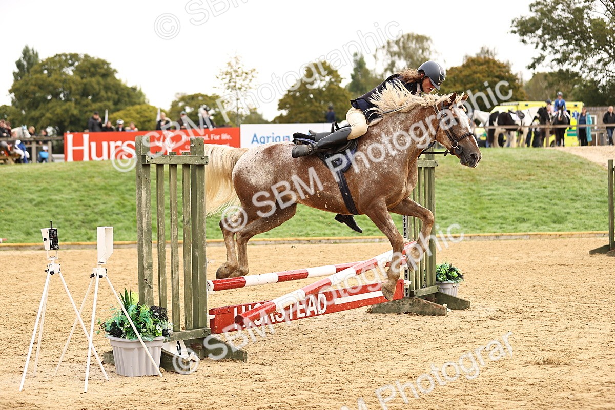 SBM_58408 - J41 - Grand Tour Horse & Pony 95cm