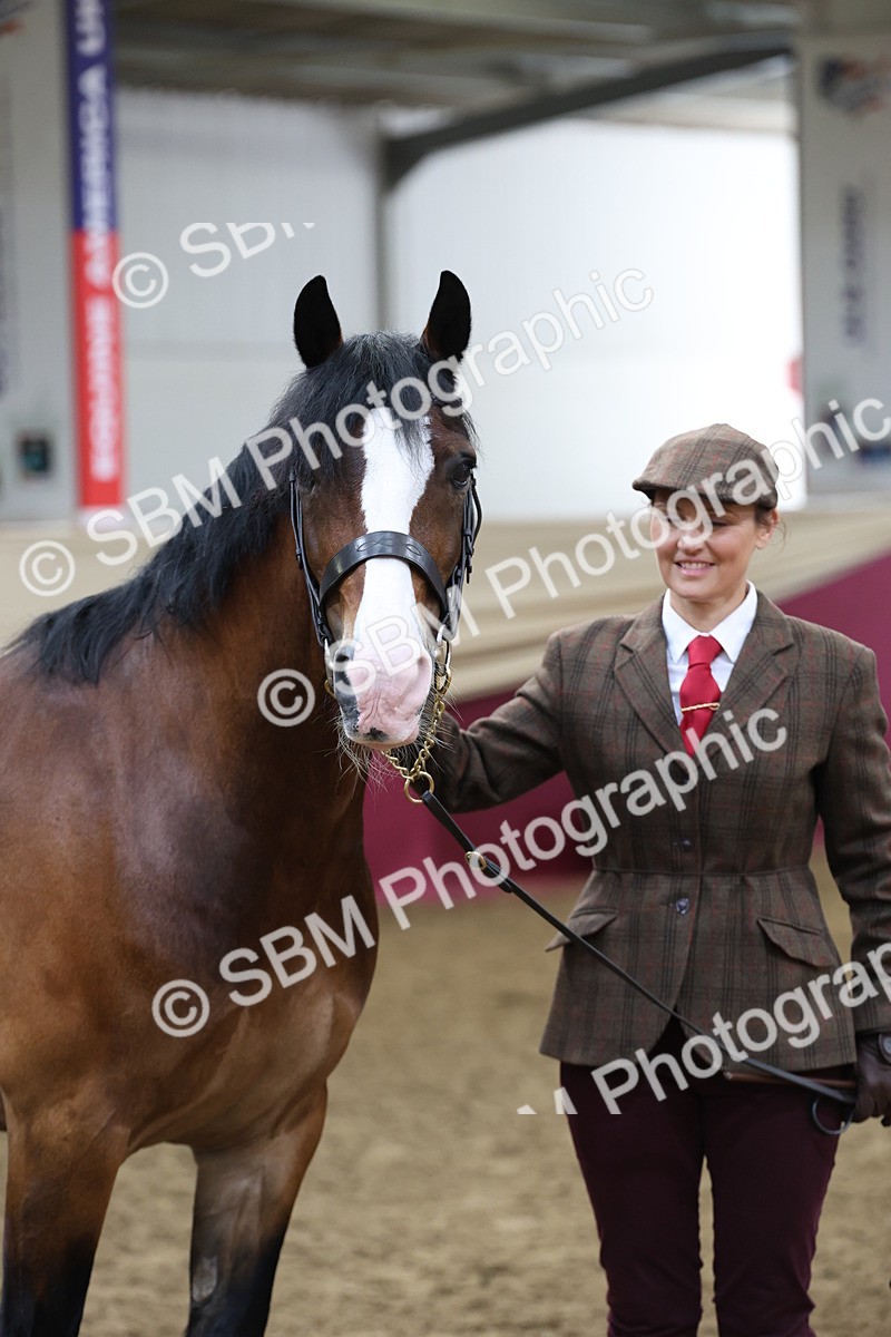 SBM_22470 - Class 902 - Supreme Final - IH Diamond