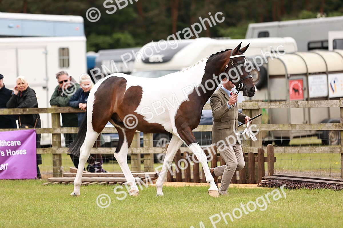 SBM_04507 - Class 5-8 - BSPA In hand