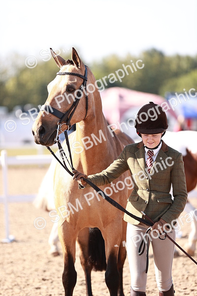 SBM_22066 - Class 703 - IH Coloured