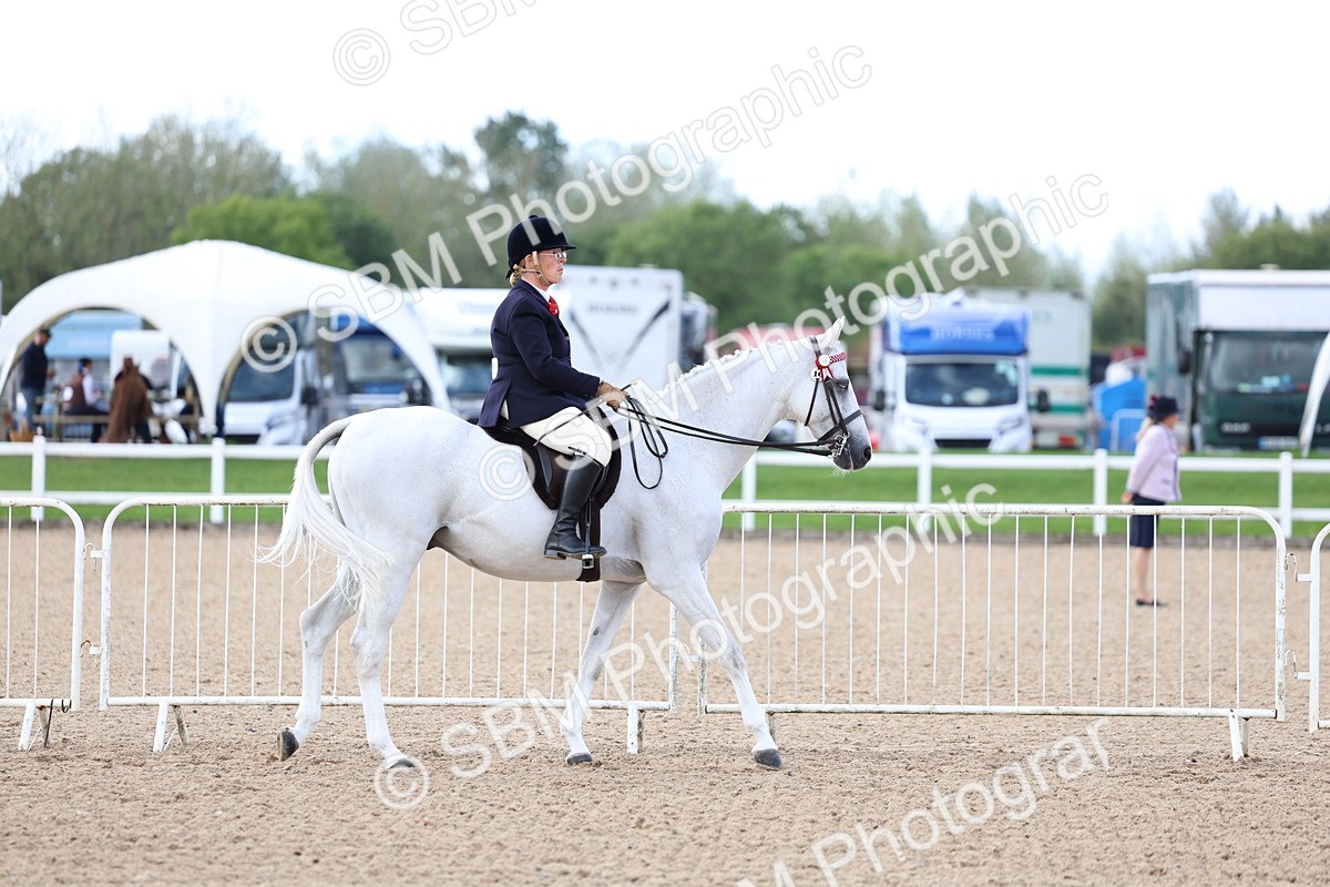 SBM_10025 - Class 304 - Ridden Part Bred Horse Pony