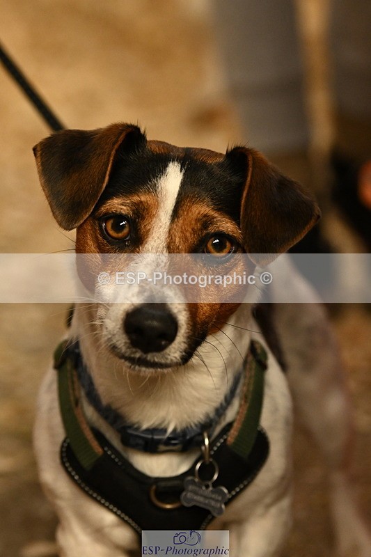 240809A-092419-00074 - Stable Shots