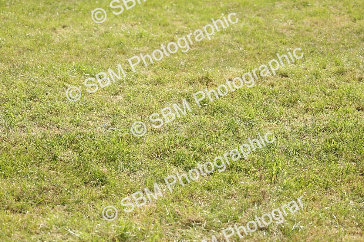 SBM_09736 - Class 33-38 - SSADL RIHS Qualifiers