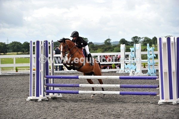 DSC_6101 - MARION WILSON