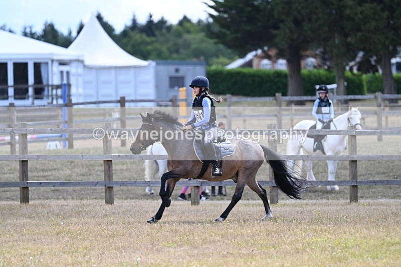 WJ7_0902 - 60cm Time 12:26 to 12:46