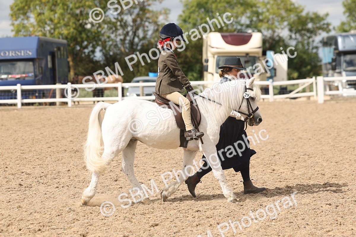 SBM_15773 - Class 309 - Lead Rein Pony
