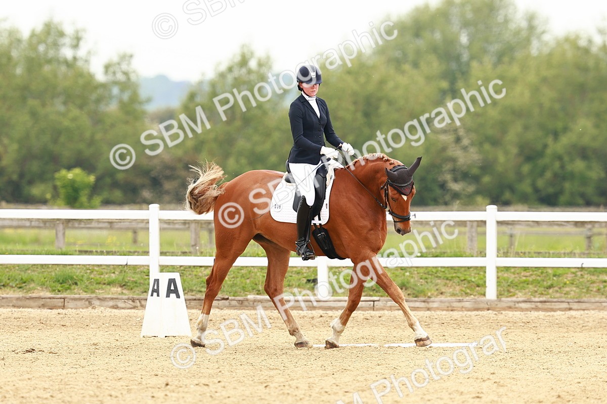 SBM_001228 - Class 6 - Novice 4