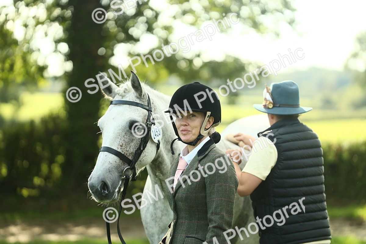 SBM_52125 - S33 - Working Hunter & Working Show Horse