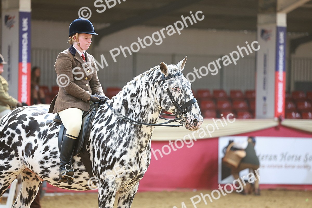 SBM_12631 - Class 103 - HOYS Veteran Qualifier - Ridden Pre Vet