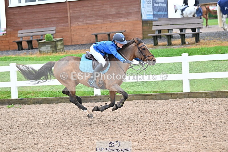 240908A-111308-03281 - Cls 18 A&B Pony Brit Nov & 80 Opern