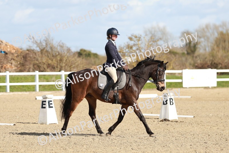 20260314-4324 - DR4 - Prelim 2