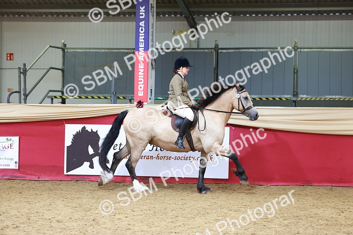 SBM_06199 - Class 12R - Ridden Pre-Vet