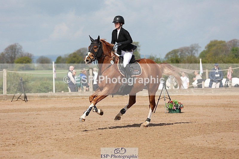 250427-104740-15613 - Cls 36 Young Horse 7yr old