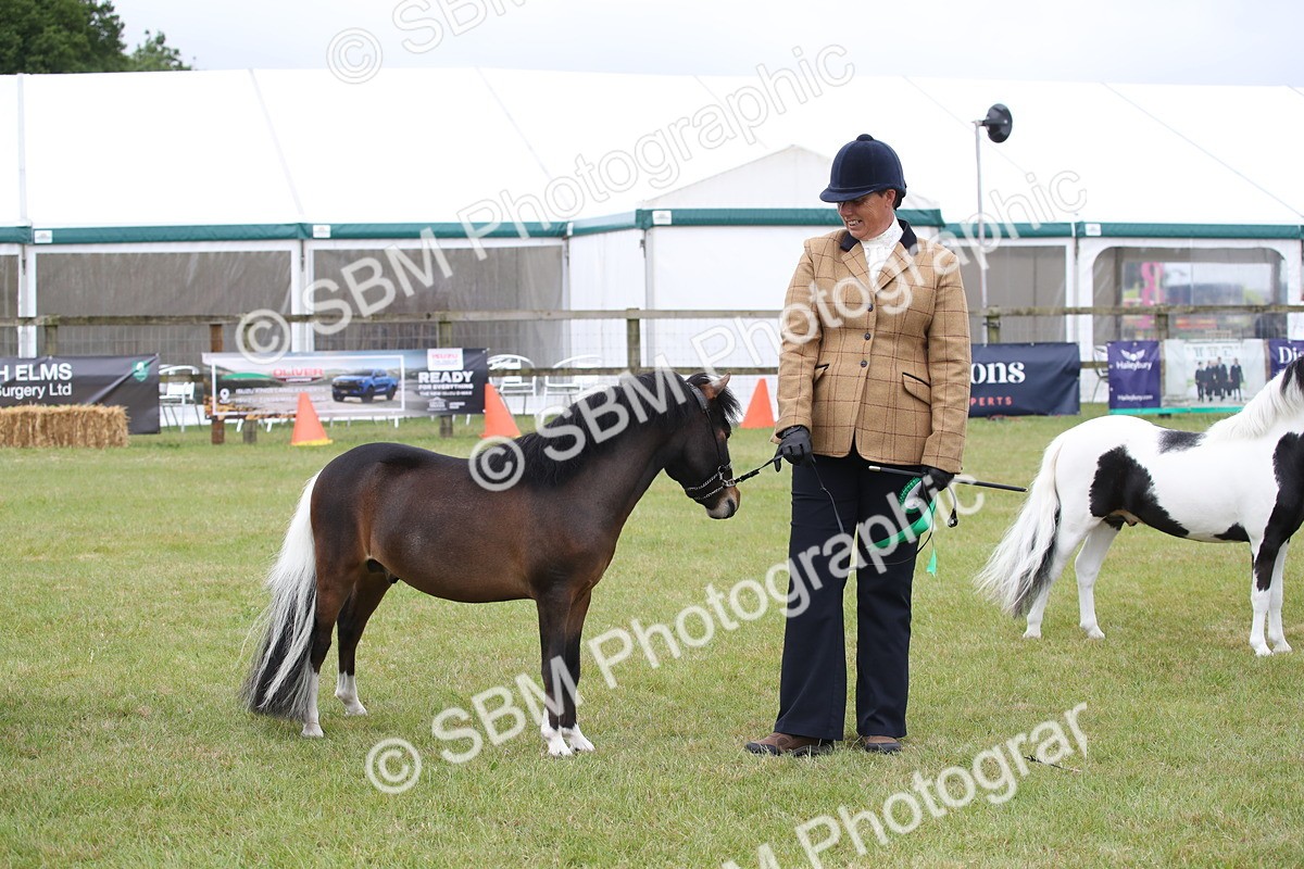 SBM_03837 - Class 23-25 - British Miniature Horse of the Year