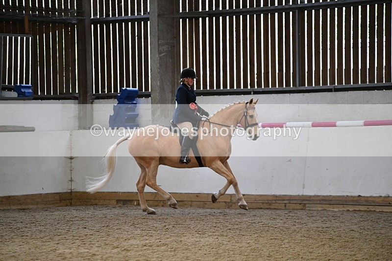 WJ5_6453 - Class 9 Ridden Veteran