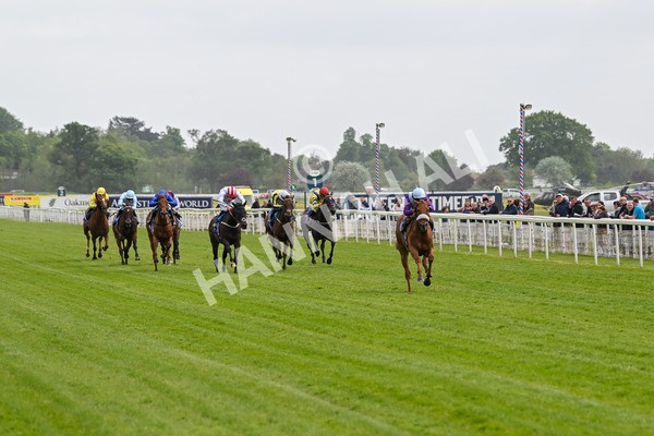 150525-See The Fire-4400 - Race 3 3.13pm Al Basti Equiworld Dubai Middleton Fillies' Stakes