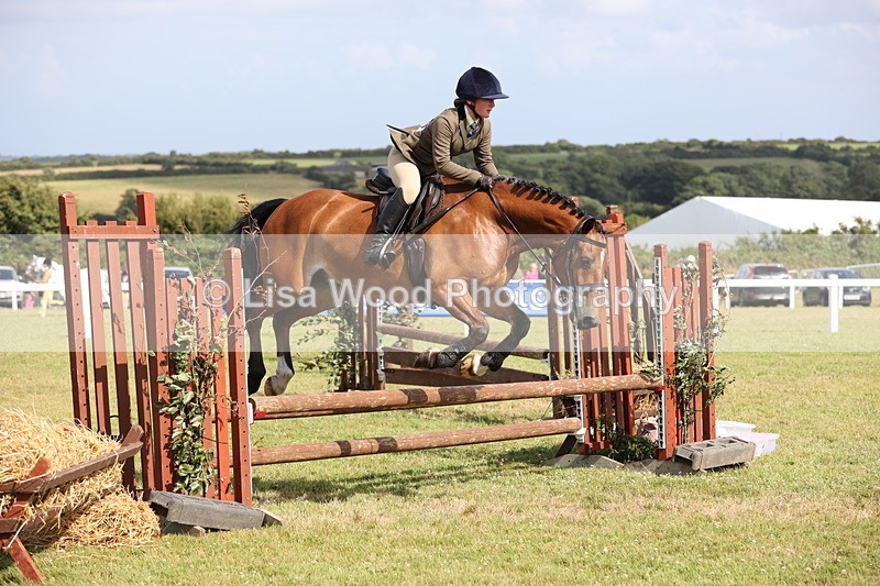 JPP_2630 - Class 20: Working Hunter 70cm