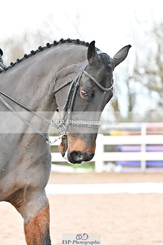 241214-152414-03217 - 123-Susan.Lanz-Wellshead.Foxtrot