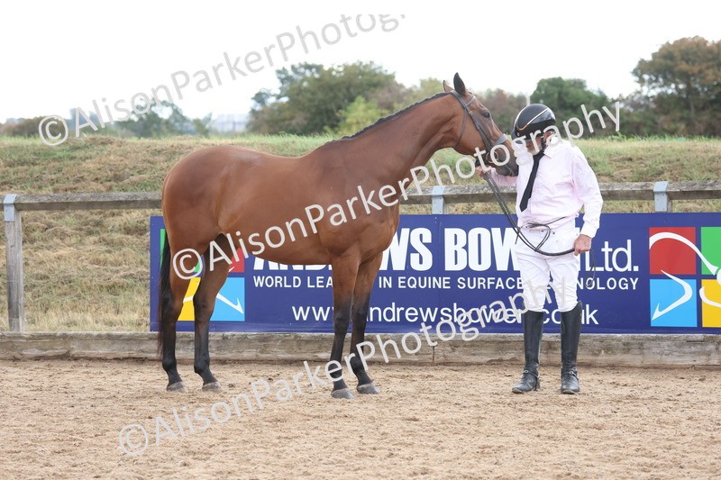 20260831-1929 - Class 5 - Retraining of Racehorses
