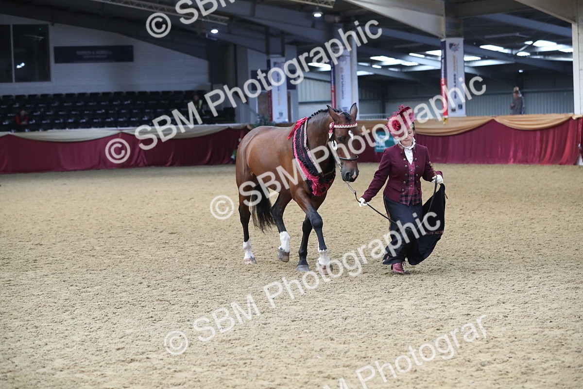 SBM_10782 - Class 103 IH Costume