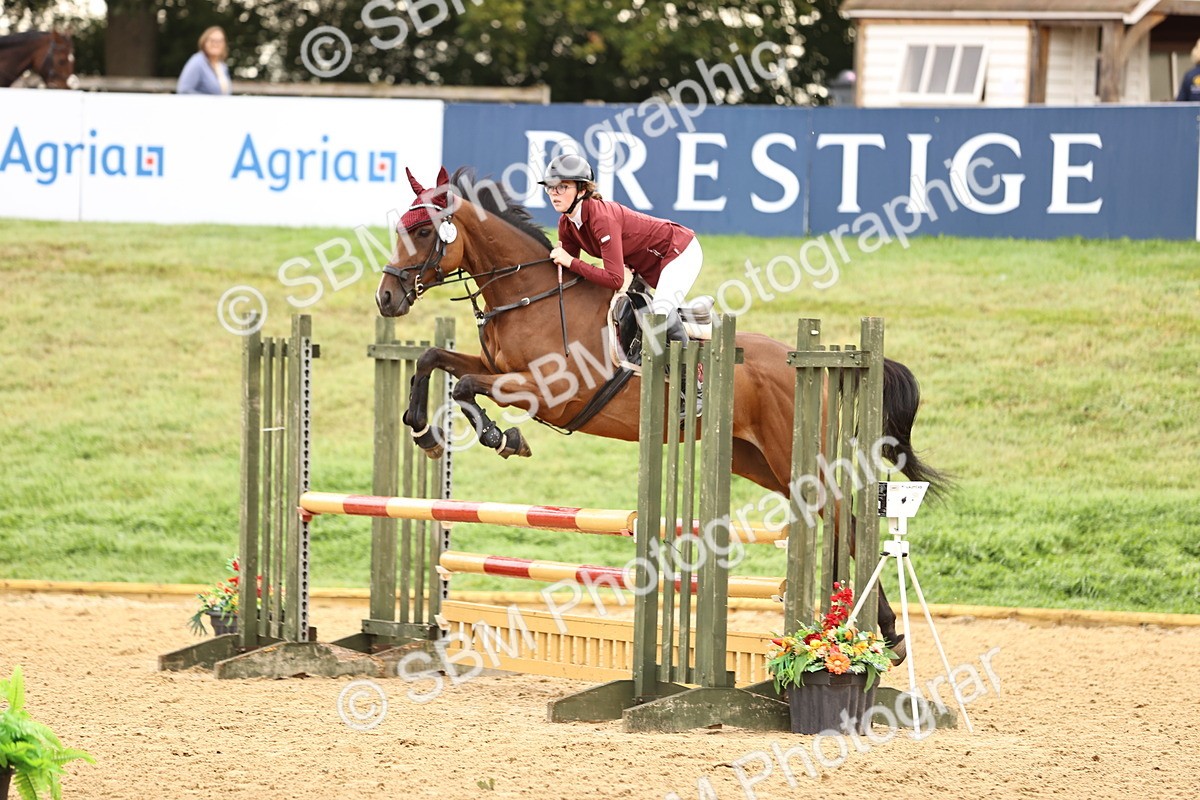 SBM_58338 - J41 - Grand Tour Horse & Pony 95cm