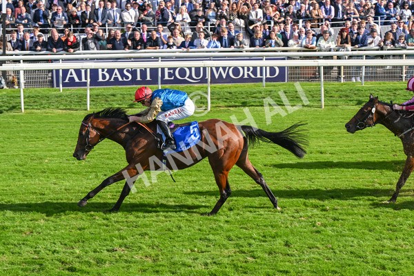 111025-Race 1-Division-8251 - Race 1 Coral Rockingham Stakes at York
