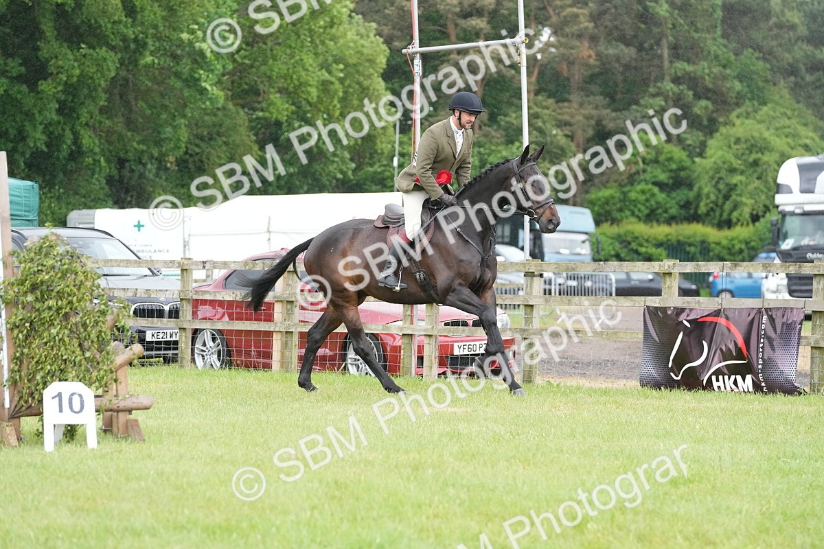 SBM_12820 - Class 97-98 - LIHS BSHA Rising Star Working Show Horse Hunter