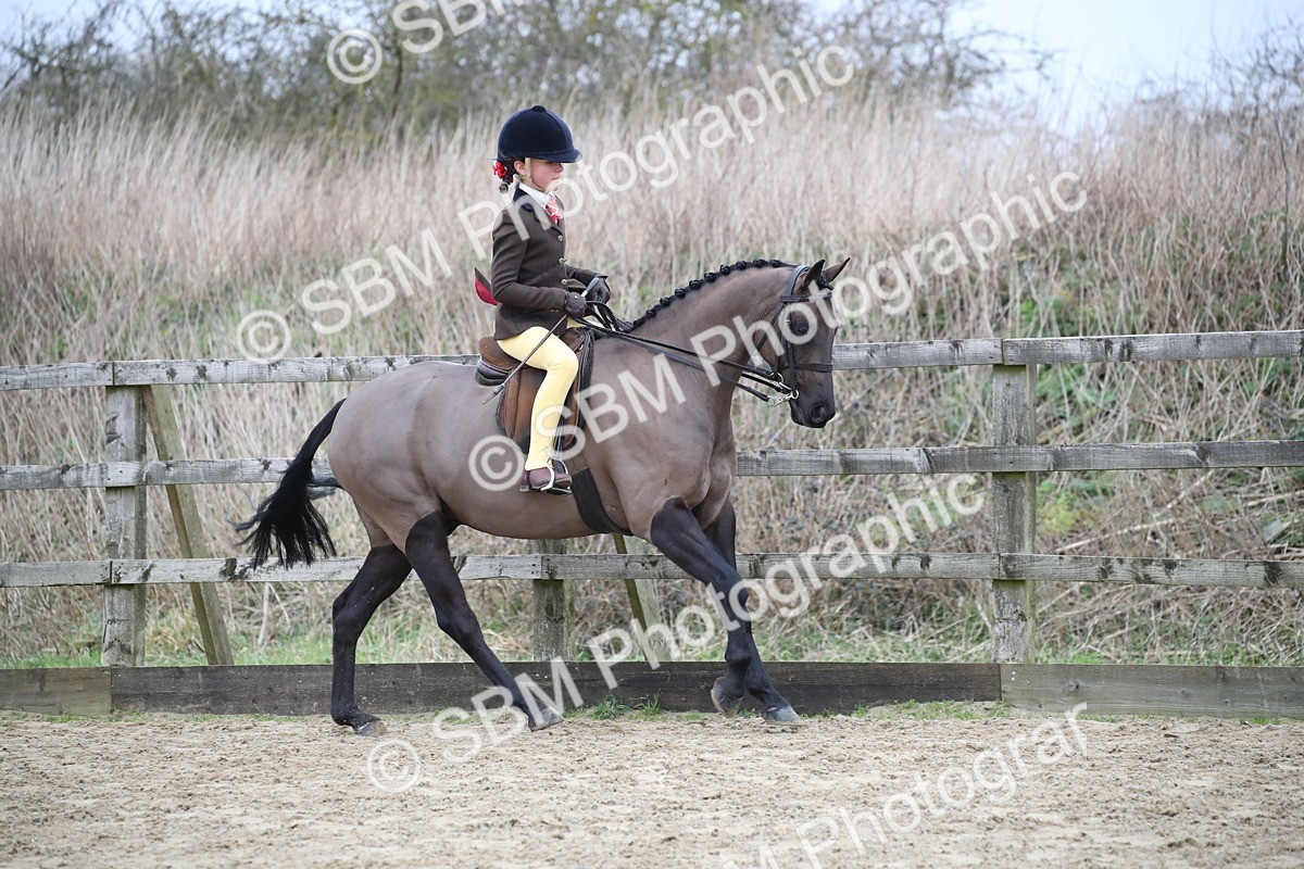 SBM_004651 - Class 5-9 - NPS In Hand-Show Hunter-Intermediate Ridden Inc Ridden Championship