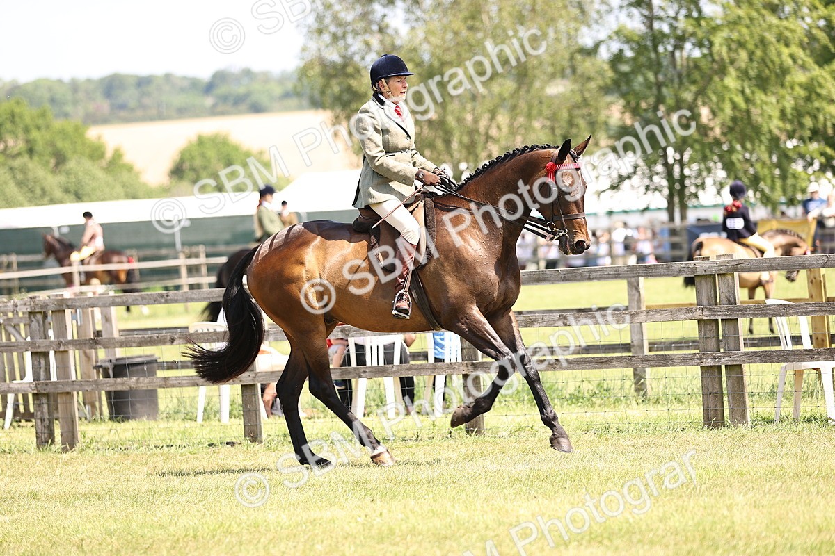 SBM_14857 - Class 78 - LIHS BSHA Open Racehorse & Show Horse