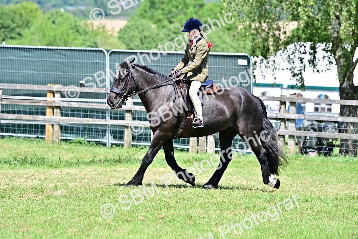 SBM_17477 - Class 95-97 - BSPS LHS Performance Ponies