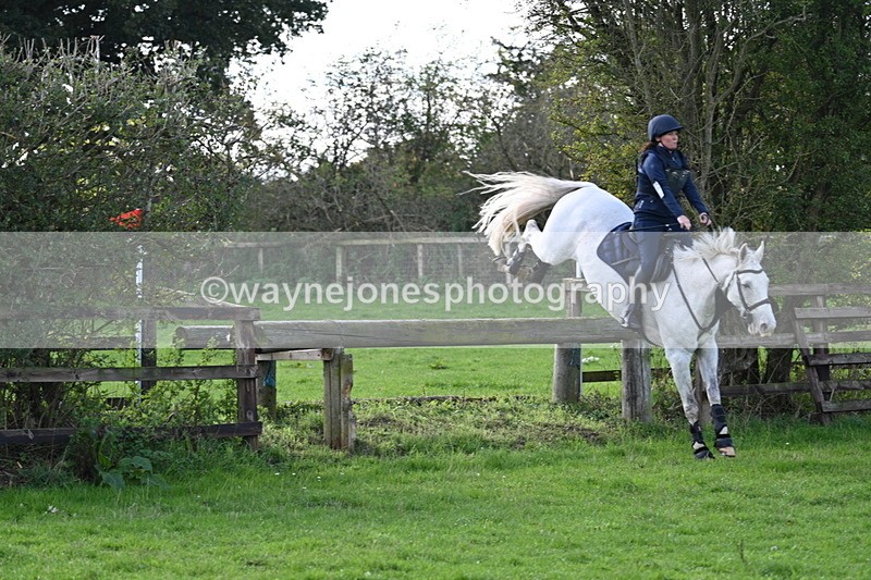 WJ7_8098 - Time 11:40 to 12:12