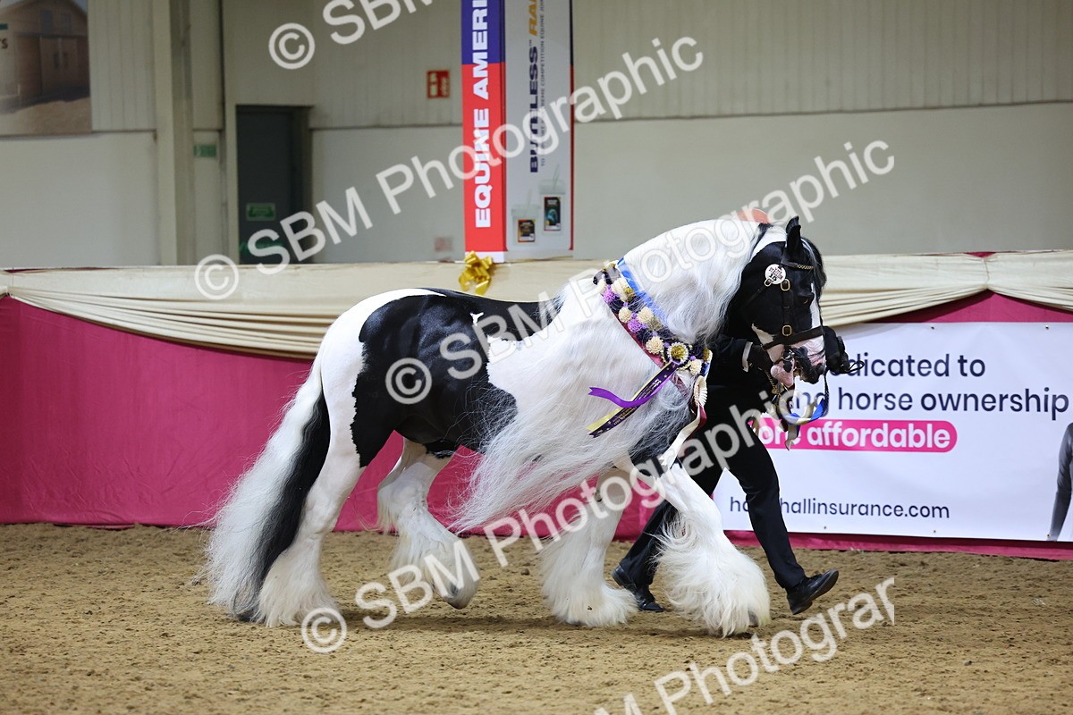 SBM_18662 - Class C Best Turned Out Champ