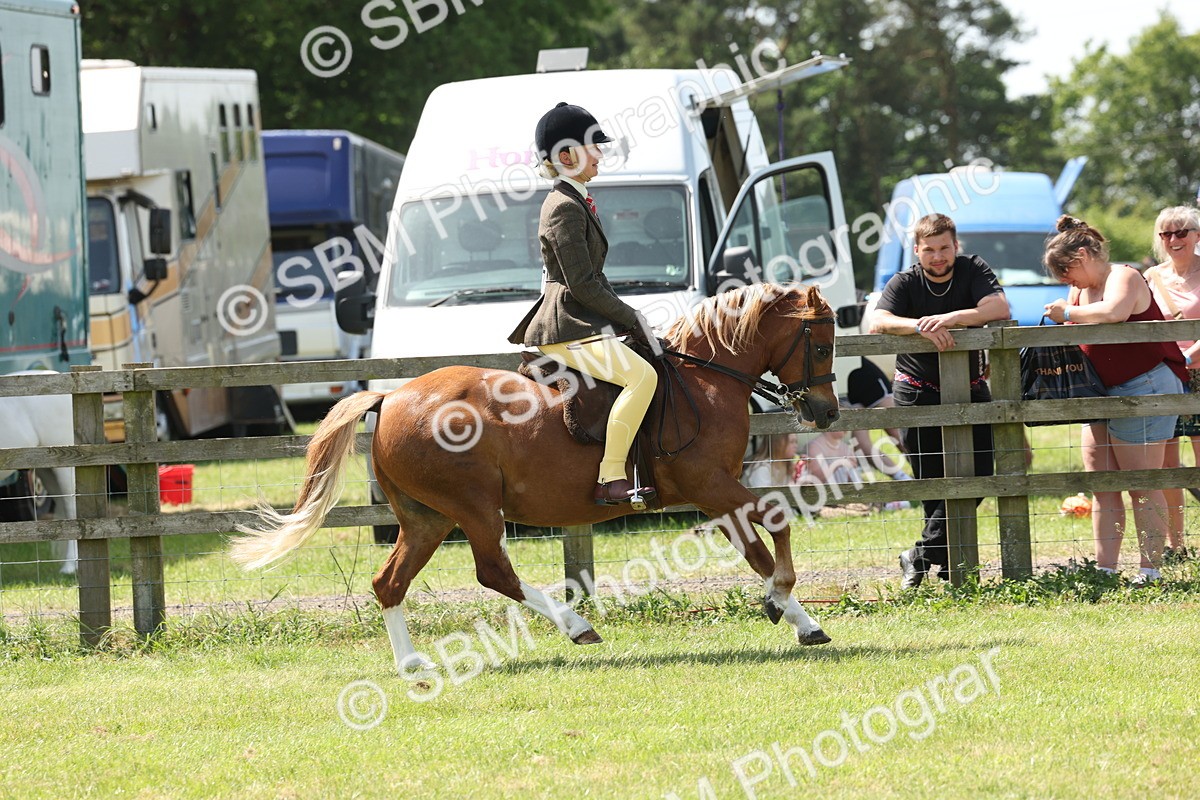 SBM_06747 - Class 26-30 - Mountain and Moorland Ridden