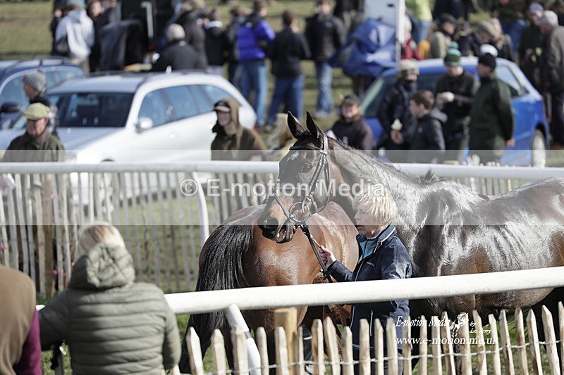 PtP 100423 929 - Old Berkshire Point-to-Point Lockinge 10/04/23