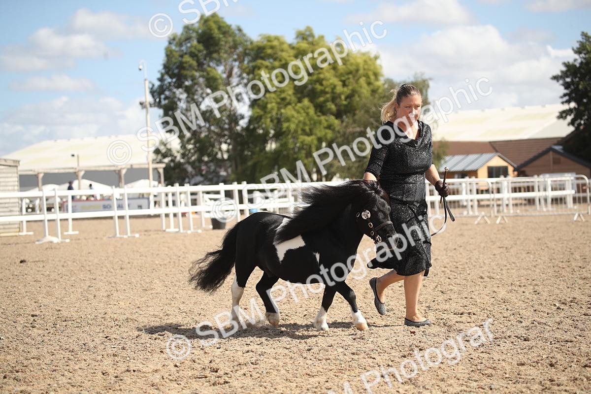 SBM_23139 - Class 606 - 2026 - Area - IH Pre Vet