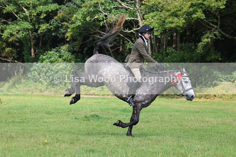 3E7A6125 - Working Hunter Championship