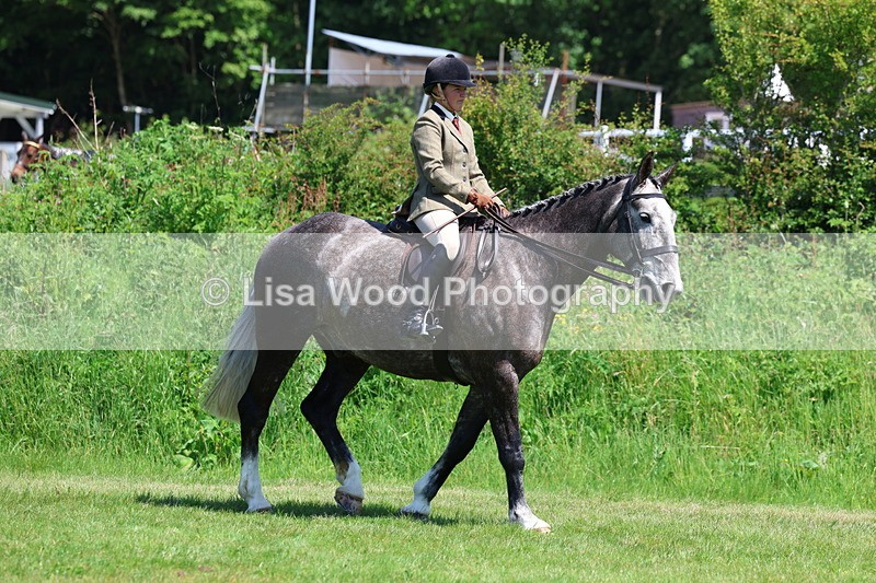 3E7A8180 - Class 13: Ridden Hunter