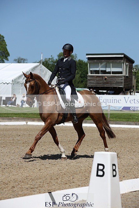 230526-115501-06127 - 157-GODSEND_DU_GIVRE-Henry_Dove-WEDTrotUp+DR