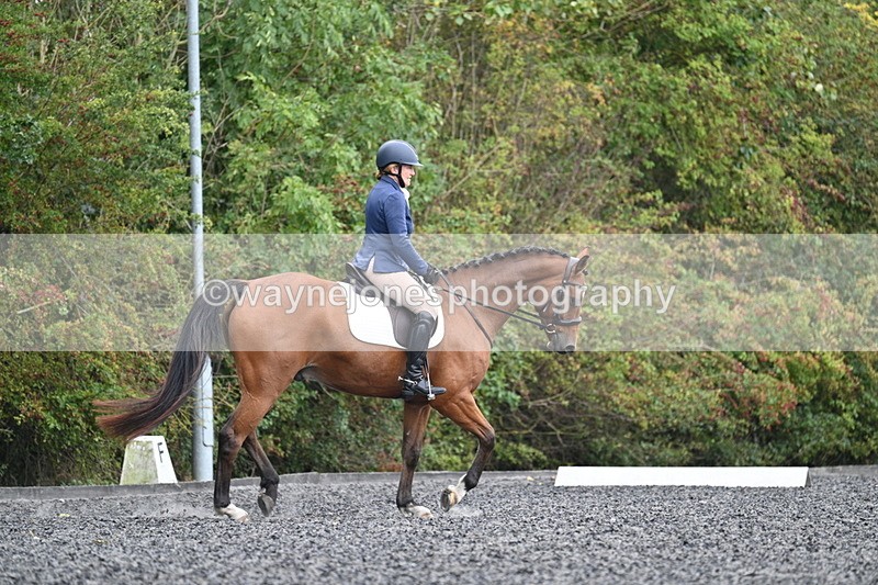 WJ7_4312 - Time 11:43 to 12:09