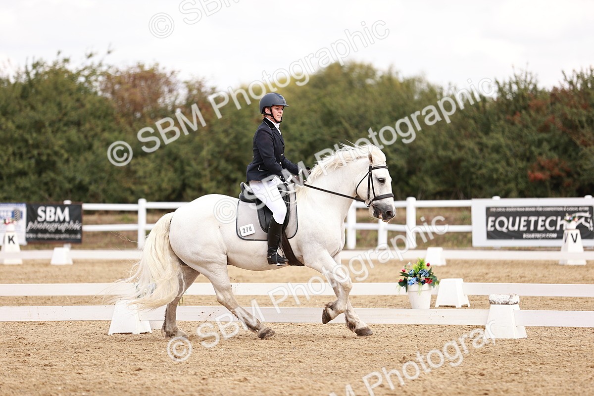 SBM_018020 - Class 15 - Prelim 6