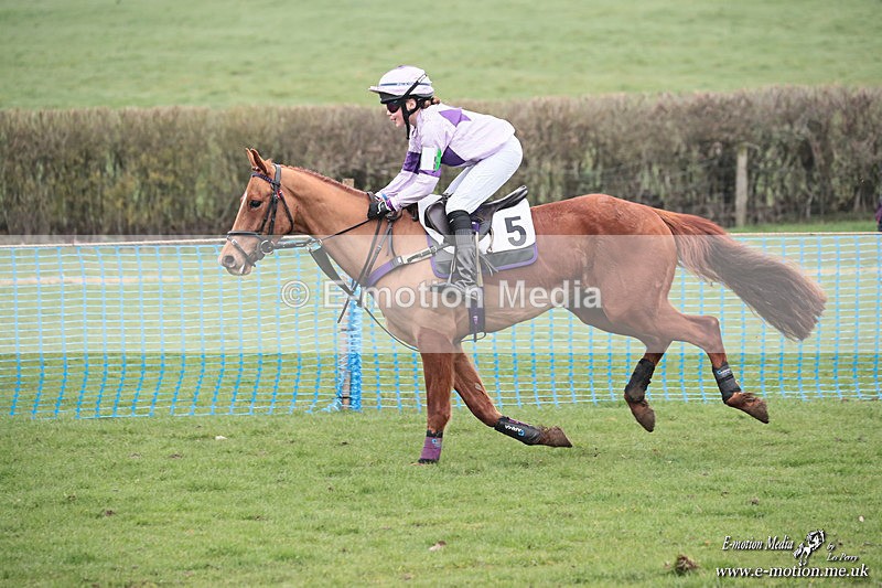 PR PtP 080326 466 - Guilsborough Pony Races 08/03/26