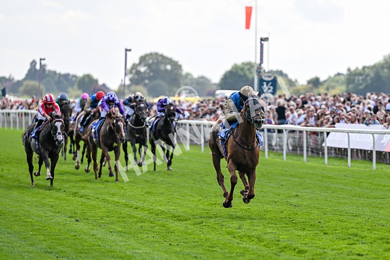 220826-Race 1-Archivist-9220 - Race 1 13.50pm Sky Bet Strensall Stakes