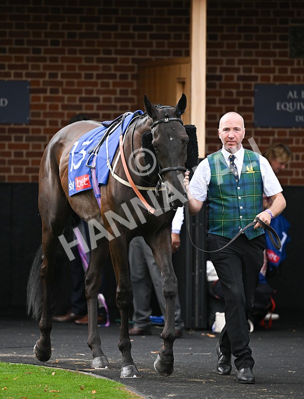 220826-188 Align The Stars - Race 4 15.35pm Sky Bet Ebor Handicap