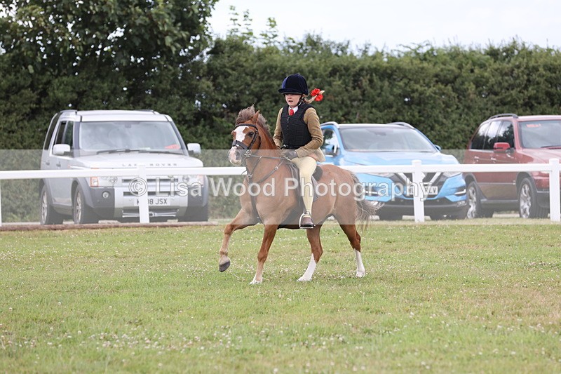 JPP_1750 - Class 18: Tiny Tots Working Hunter Pony