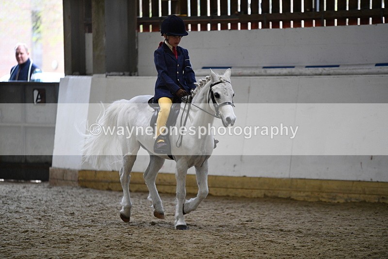 WJ5_7200 - Class 11 Ridden PC - RC Pony