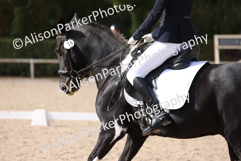 20250820-1476 - Class 20 - Medium 4