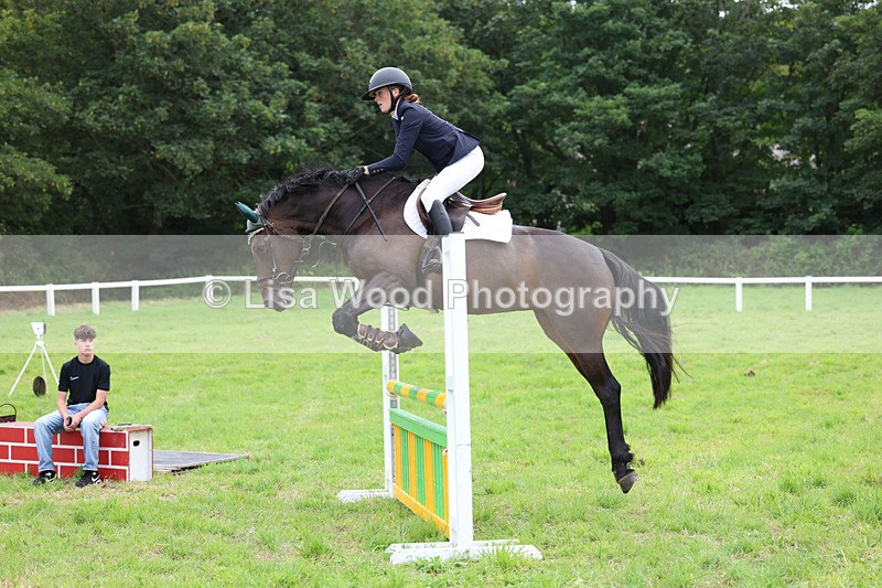 3E7A7030 - Class 5: Senior British Novice/90cm open