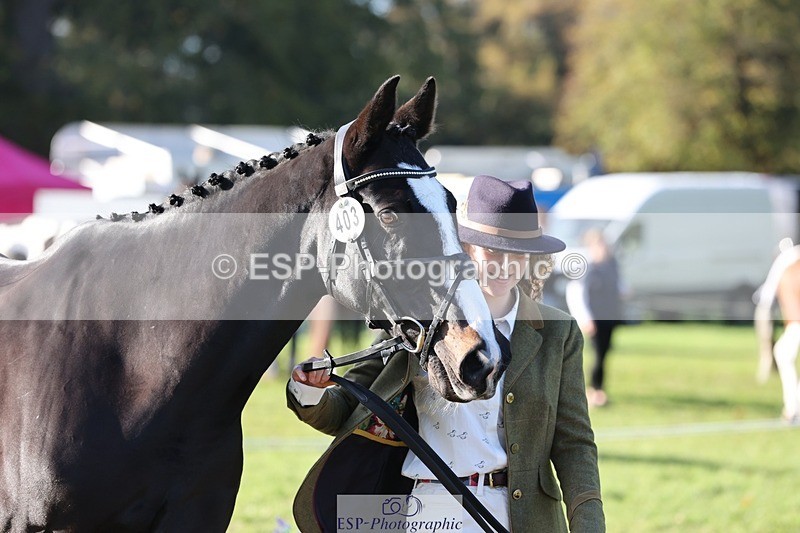 241027-094942-15524 - 403-Keira.Parsons-SARATOGA.CANDYMAN