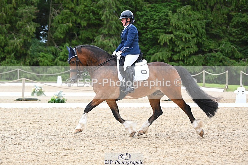 230813-142730-07766 - Cls 13 Medium Bronze 13.15 to End